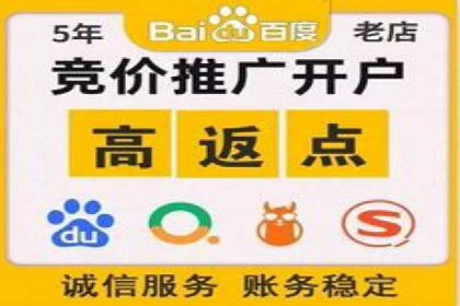 SEM广告投放案例：精准定位客户需求